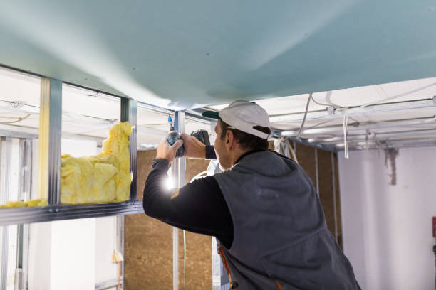 Best Reflective Insulation  in Constantine, MI