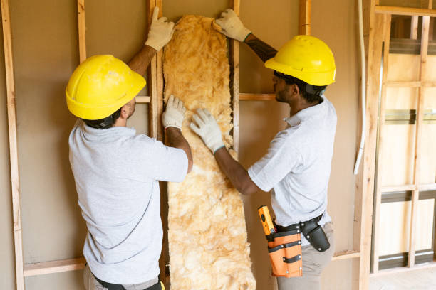 Reliable Constantine, MI Insulation Solutions