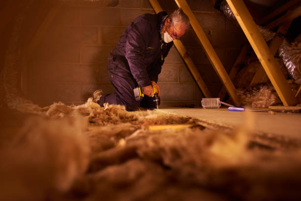 Best Garage Insulation  in Constantine, MI